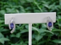 Beautiful Tanzanite and Diamond Earrings in Platinum